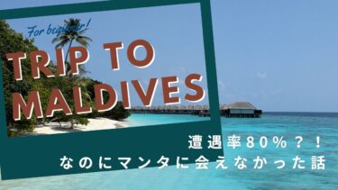 【モルディブ旅行記】遭遇率80%？！なのにマンタに会えなかった悲劇の話